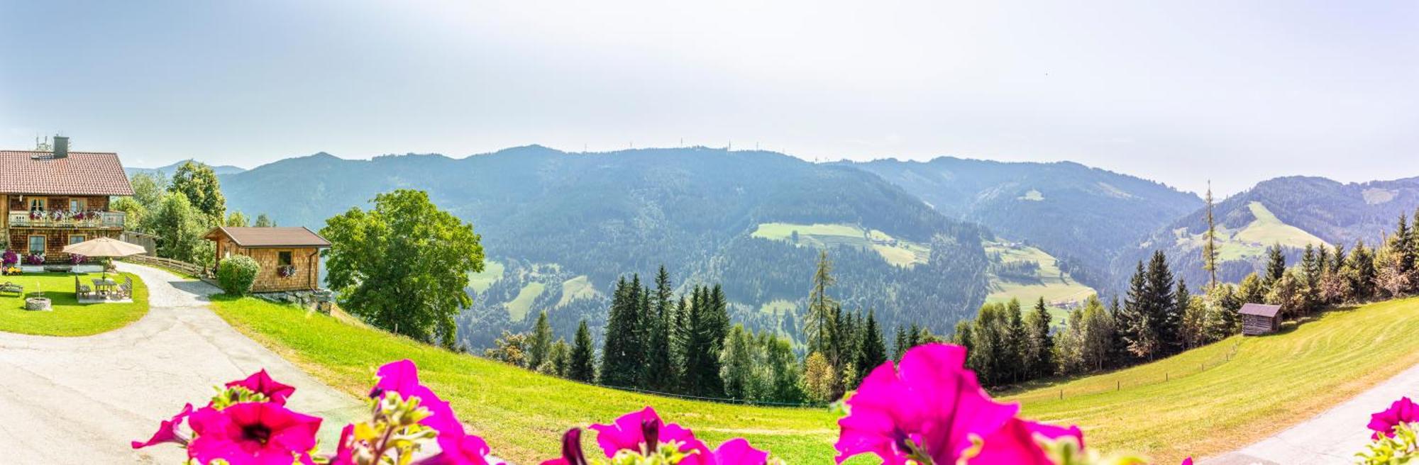 Landhaus Hochkoenig Mühlbach am Hochkönig Buitenkant foto