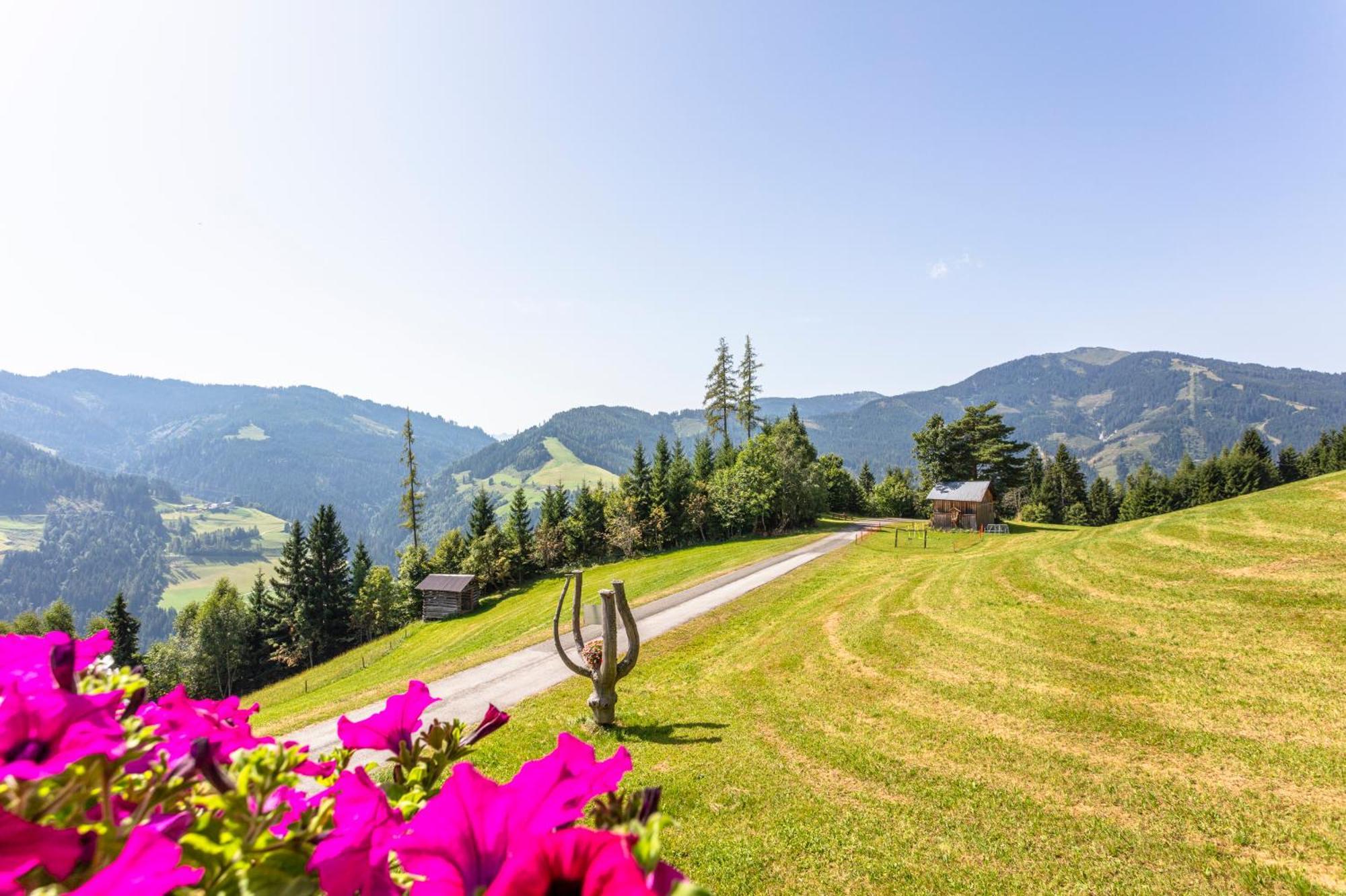Landhaus Hochkoenig Mühlbach am Hochkönig Buitenkant foto